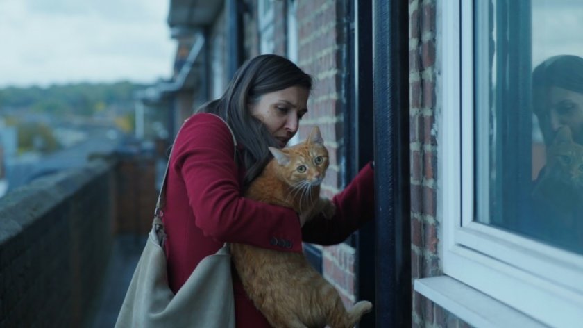 Българският филм "Котка в стената" с премиера на "Киномания" (ВИДЕО)