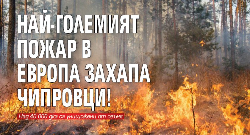 Най-големият пожар в Европа захапа Чипровци!