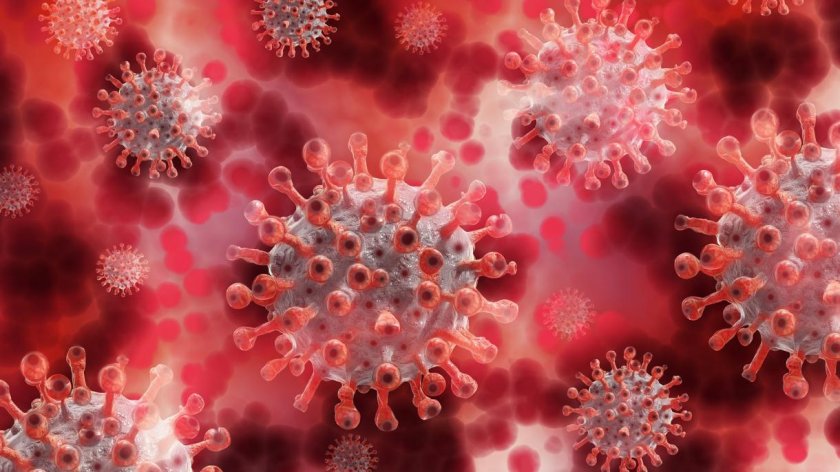 Седем са новите случаи на коронавирус у нас. Направени са