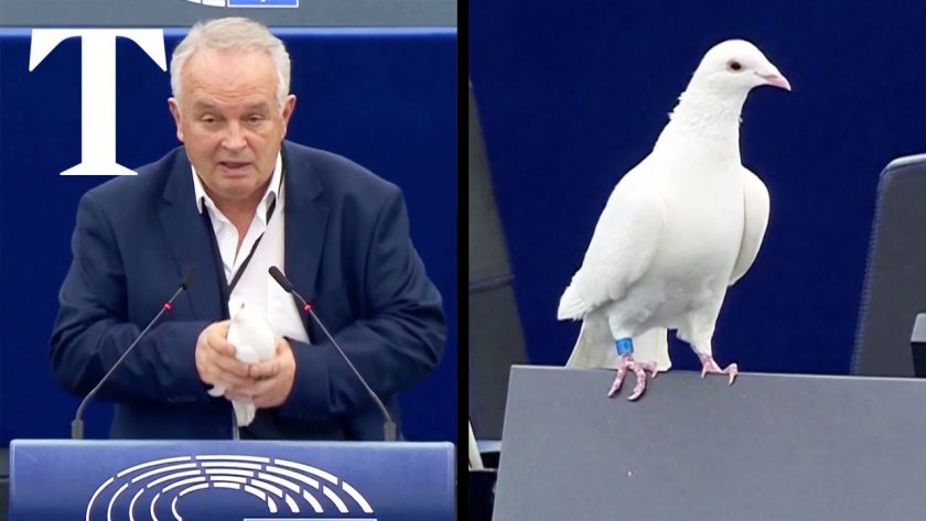 Снимка: Крайнодесен депутат в ЕП пусна гълъб в пленарна зала