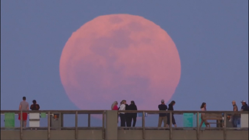 Снимка: Розова луна грейна над Флорида