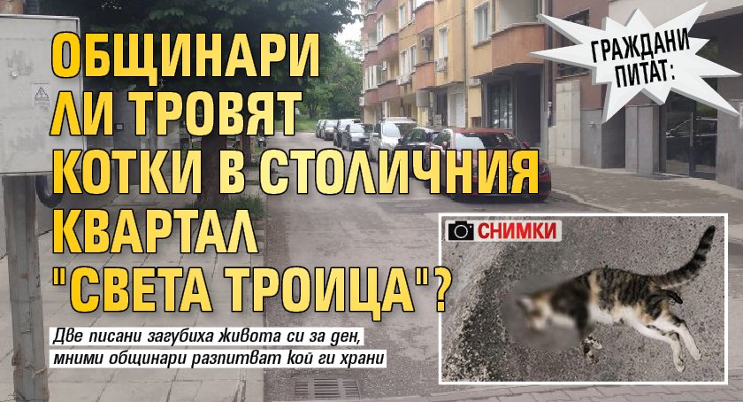 Граждани питат: Общинари ли тровят котки в столичния квартал "Света Троица"? (СНИМКИ)