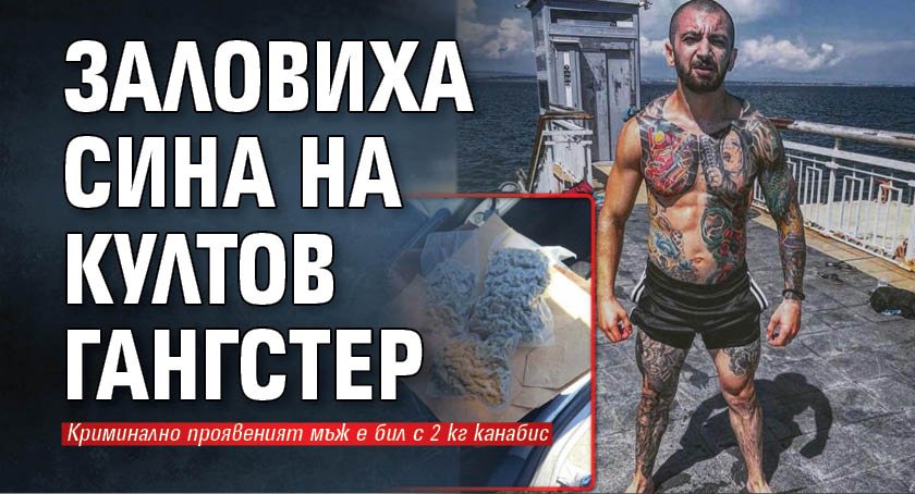 Заловиха сина на култов гангстер