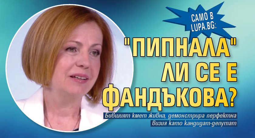 Само в Lupa.bg: "Пипнала" ли се е Фандъкова? 