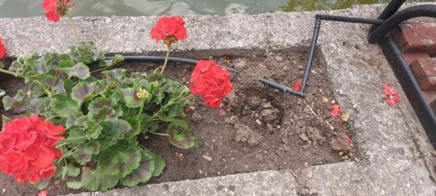 Вандали и крадци унищожиха красиви алеи в центъра на Разлог