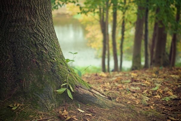 Мъж на 78 г. почина от измръзване 