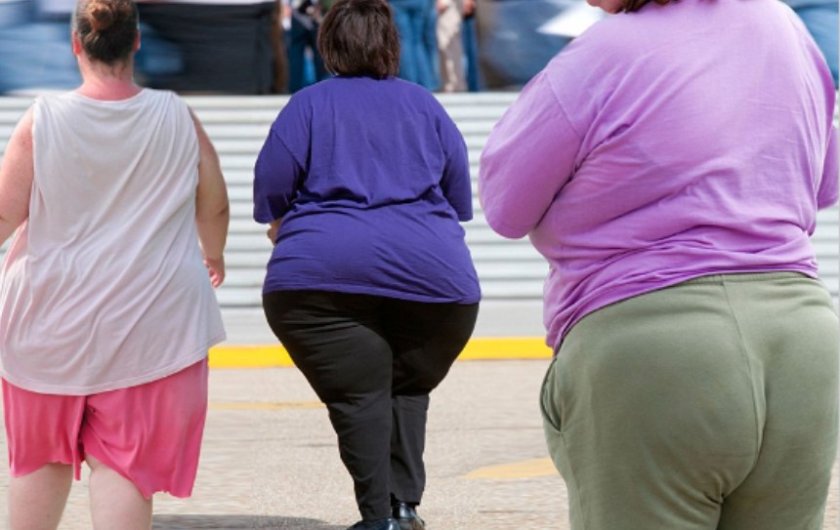 Затлъстяването се превръща във все по-голям проблем, не само за