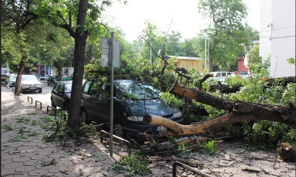 Дърво падна върху автомобил до сградата на 5-о РПУ София,