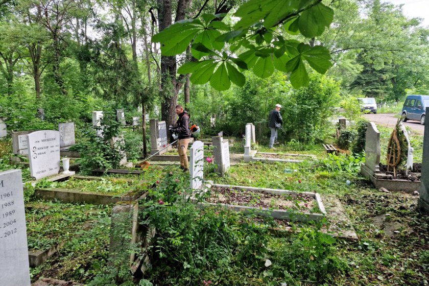 Започна масово почистване на гробищата в София