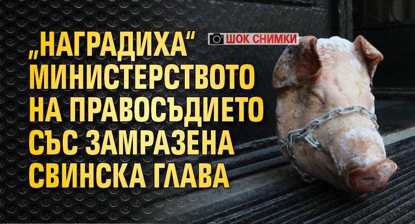 „Наградиха“ Министерството на правосъдието със замразена свинска глава (ШОК снимки)