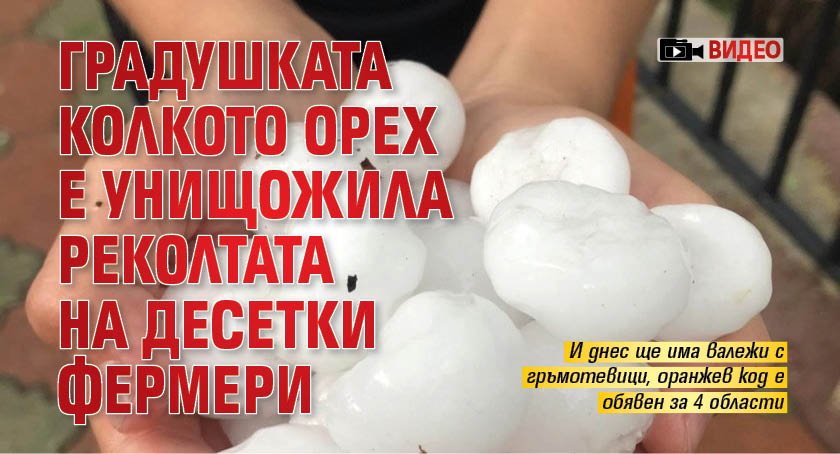 Градушката колкото орех е унищожила реколтата на десетки фермери (ВИДЕО)