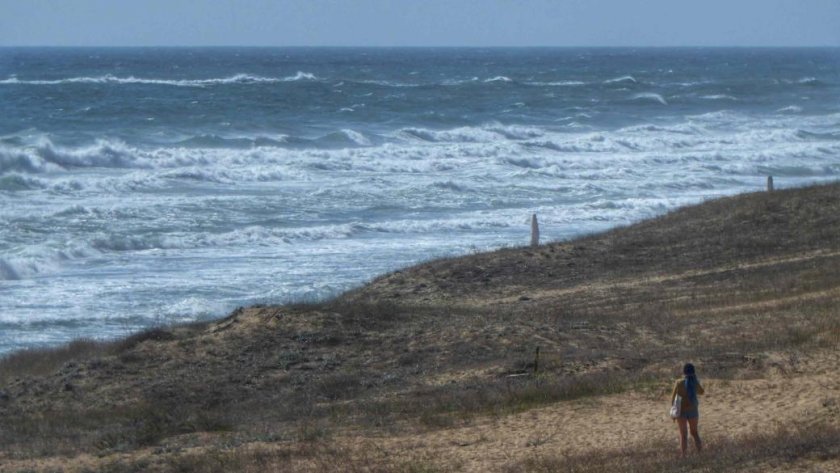 Резултатите от проверките по родното Черноморие показват, че водата е