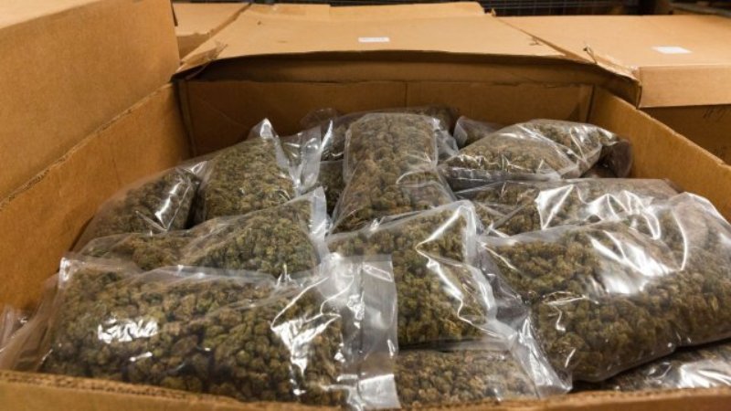 Откриха над 350 кг марихуана в складове край София