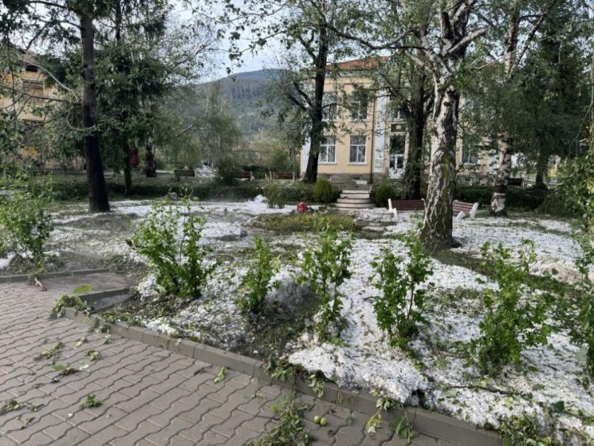 Главчев след бурята в Шипка: Сформираме оперативен щаб с председател Калин Стоянов