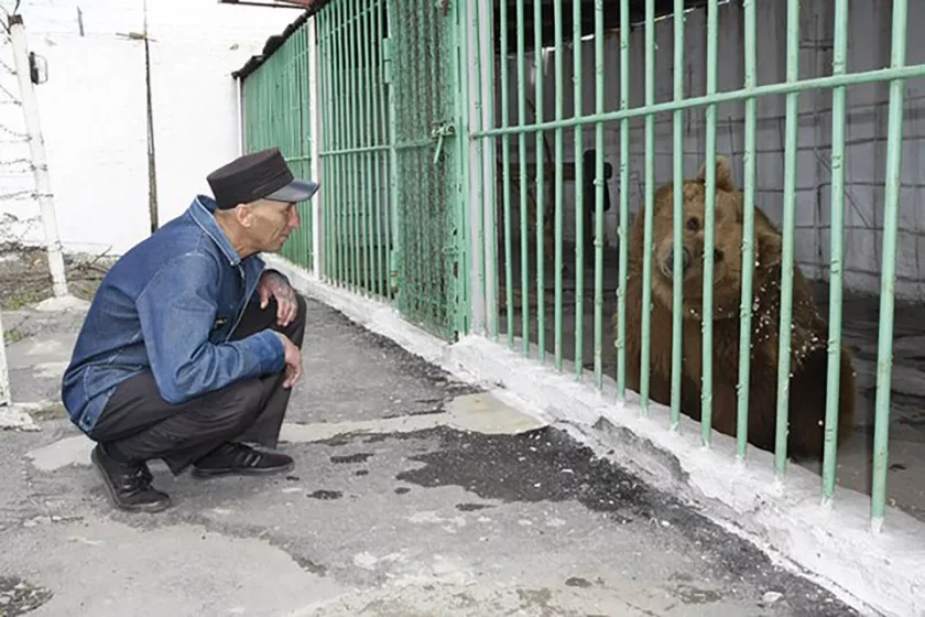 Мечка излежава доживотна присъда в Казахстан