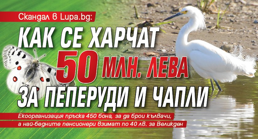 Скандал в Lupa.bg: Как се харчат 50 млн. лева за пеперуди и чапли