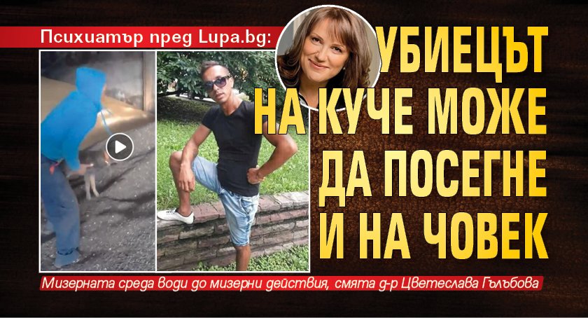 Психиатър пред Lupa.bg: Убиецът на куче може да посегне и на човек
