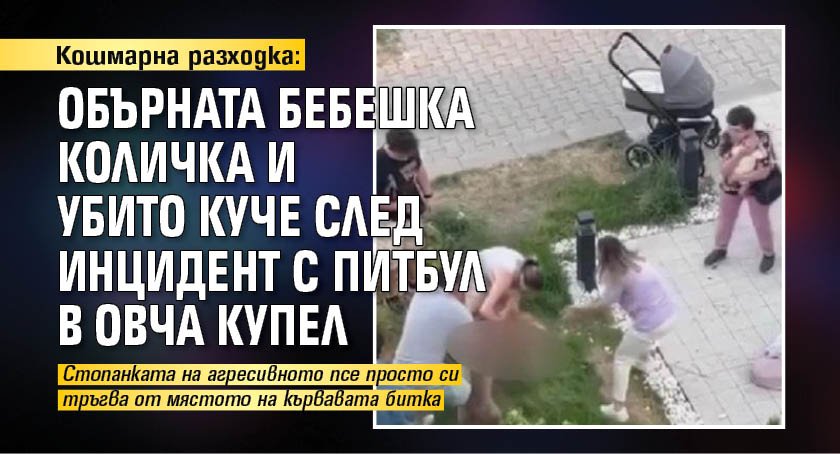 Кошмарна разходка: Обърната бебешка количка и убито куче след инцидент с питбул в Овча купел