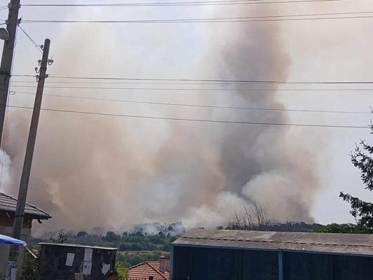 Два големи пожара бушуват в Южна България, изпепелиха къщи и гори