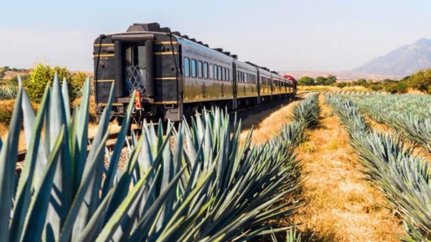 Не, това не е просто легенда: текила влакът наистина съществува.