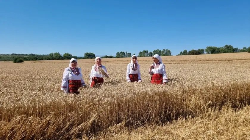 С ритуала "зажънване" започна жътвата в Севлиевско (СНИМКИ)