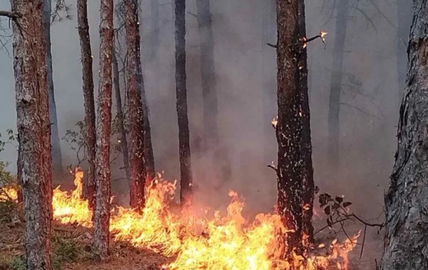 Спешно! Търсят се доброволци за гасенето на огъня в Хисаря