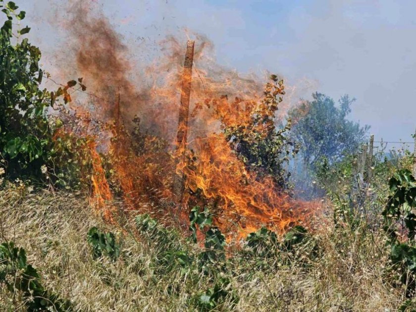 Умишлен пожар в село Димитриево