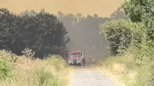 Голям пожар лумна и в Кочериново