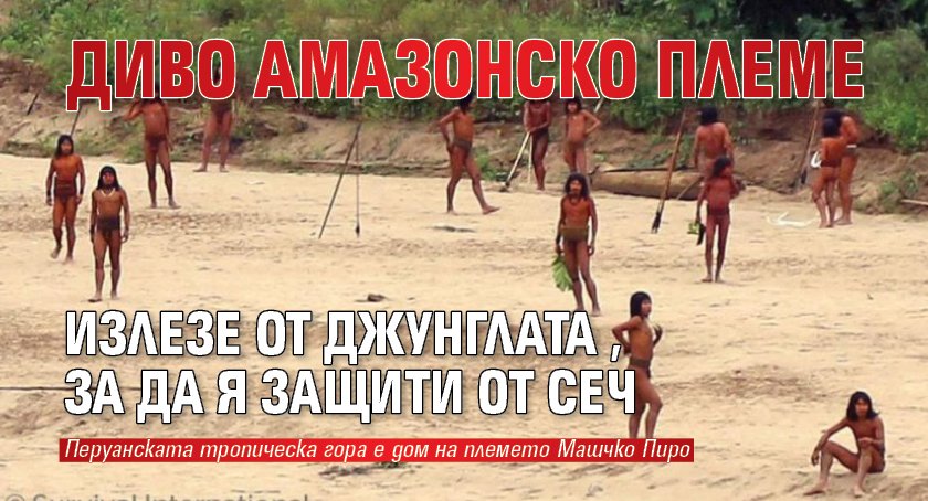 Диво амазонско племе излезе от джунглата, за да я защити от сеч