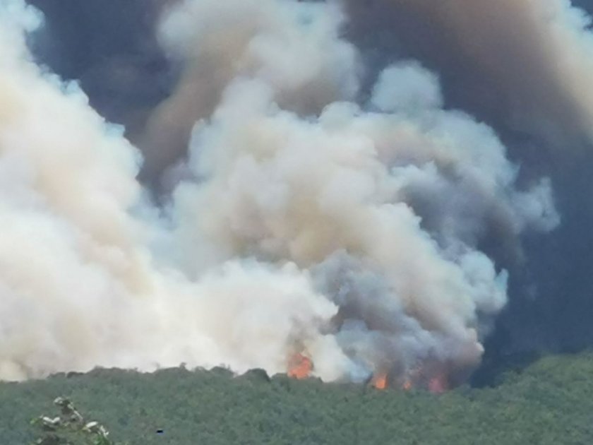 Голям пожар вилнее между селата Каменица и Митрево