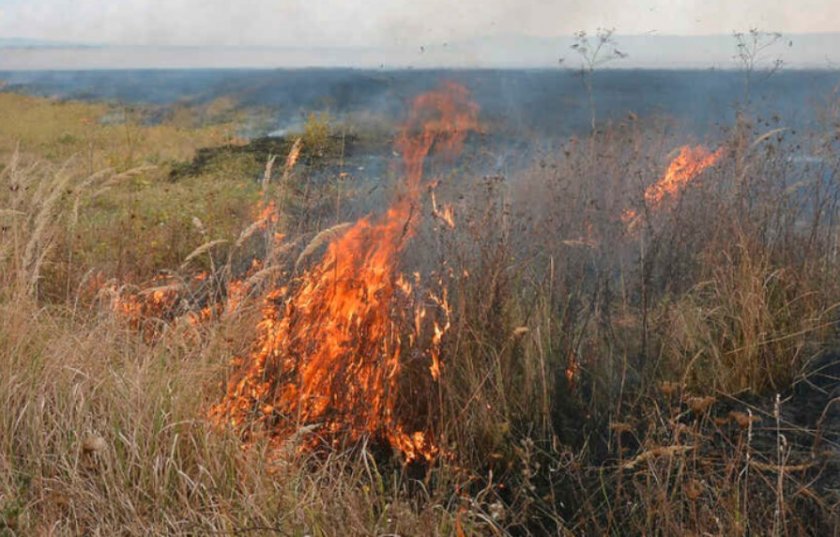 Огнен ад: 4000 декара горят в Пъстрина