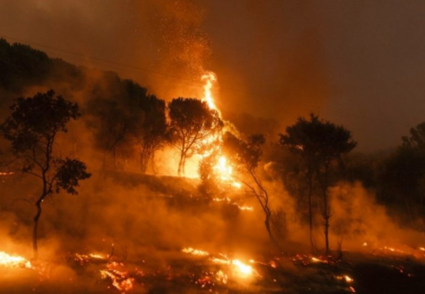 Критично: Пожарът от Гърция гори върху минирана зона у нас