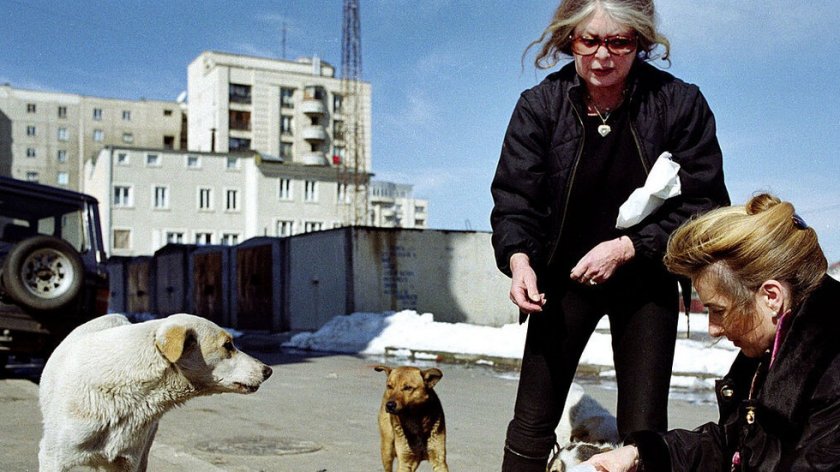 Бриджит Бардо се застъпи за бездомните кучета в Турция