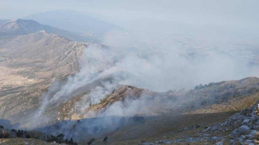 Хеликоптери се включват да гасят пожара край границата ни с Гърция