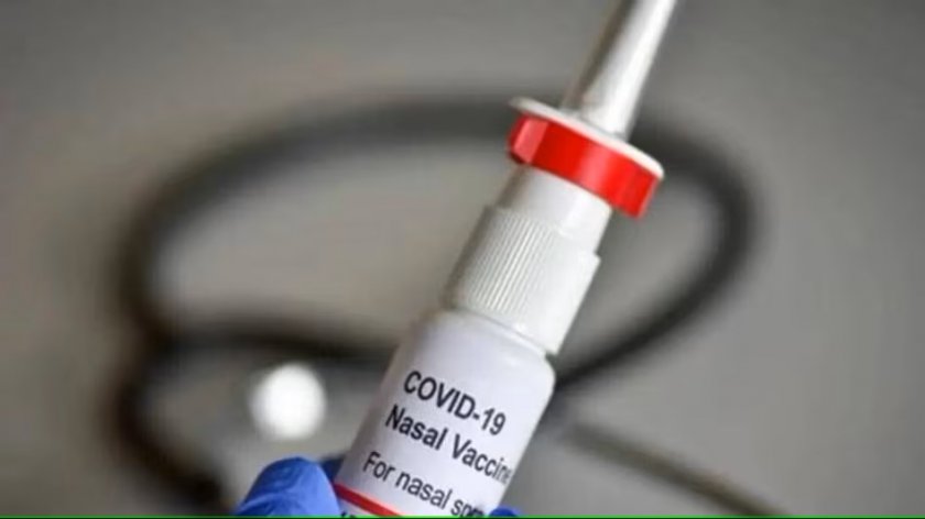 РАЗГЕЛЕ: Назална ваксина срещу COVID спира разпространението