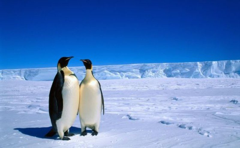 Температурата на Антарктида се е повишила с 10 градуса над нормата