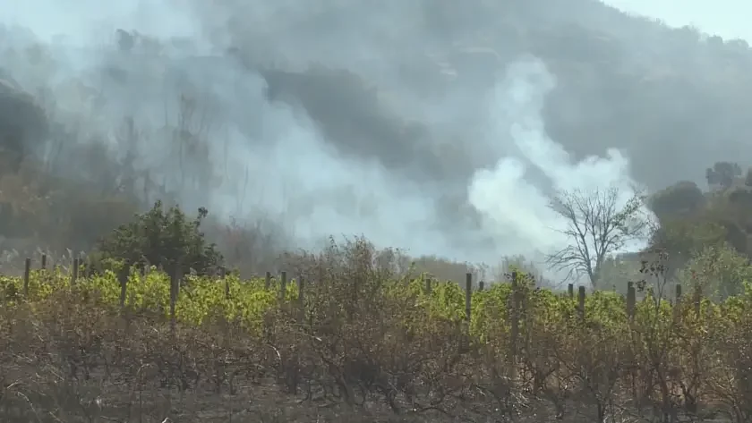 Локализираха пожара в община Струмяни
