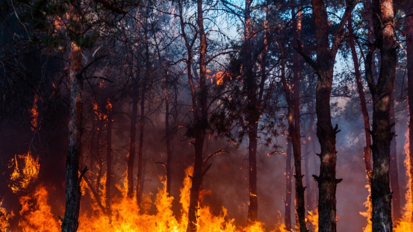 Ново огнище на пожара в планината Славянка 