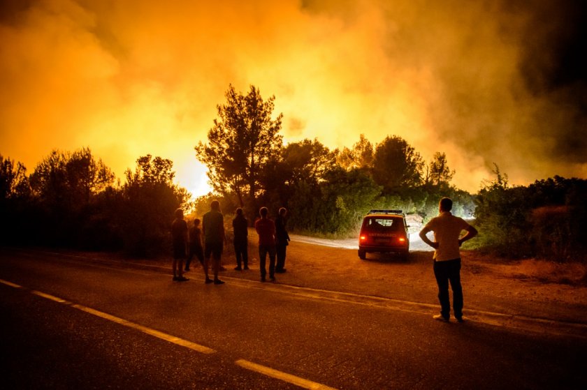 Пожари пламнаха и в Черна гора