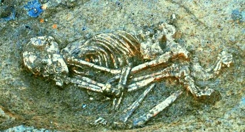 Берачи на боровинки откриха скелет на човек край Берковица