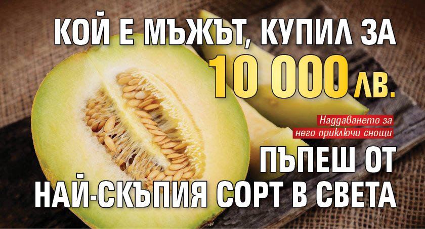 Кой е мъжът, купил за 10 000 лв. пъпеш от най-скъпия сорт в света