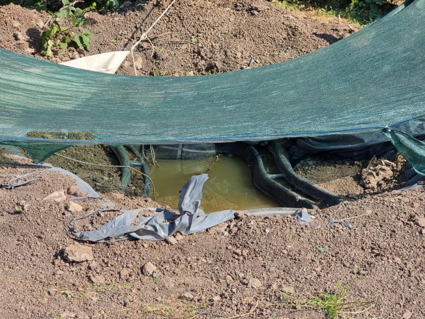 Продължава сагата с крокодила Кроко, който във вторник стана известен с