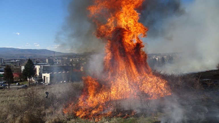 Загасиха пожарите край свищовските села