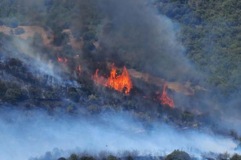 Пожарът край Бобобшево тръгнал от двор на 70-годишен