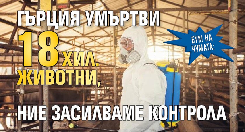 БУМ НА ЧУМАТА: Гърция умъртви 18 хил. животни, ние засилваме контрола