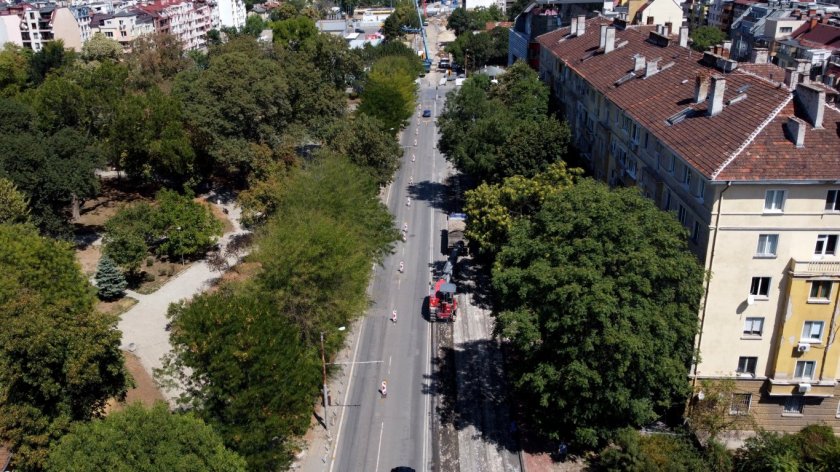 Загубата на всяко едно дърво и то голямо дърво, е