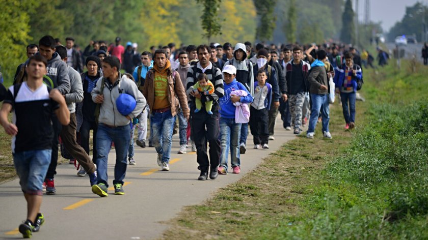Белгия приютява все повече мигранти