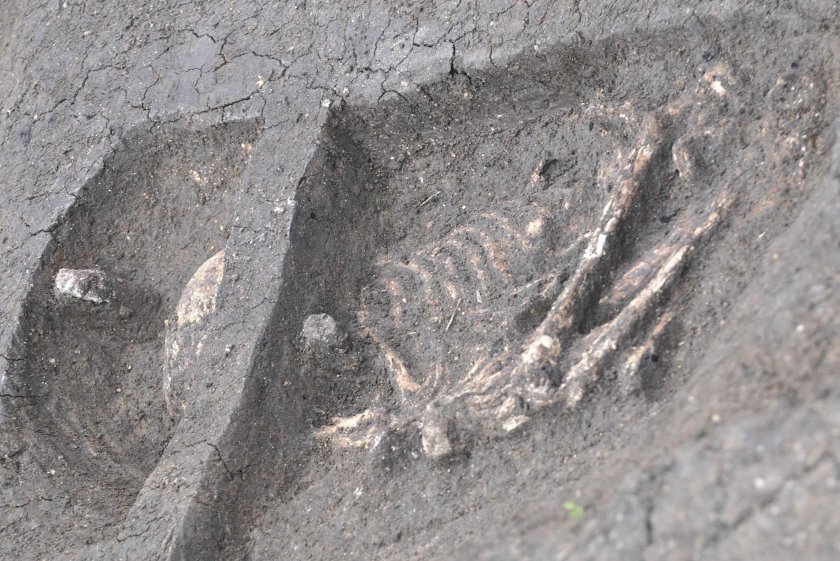 Човешки скелет, който се предполага, че принадлежи на изчезнал преди