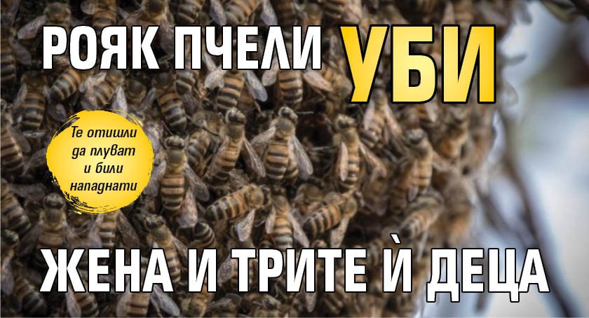 Рояк пчели уби жена и трите ѝ деца