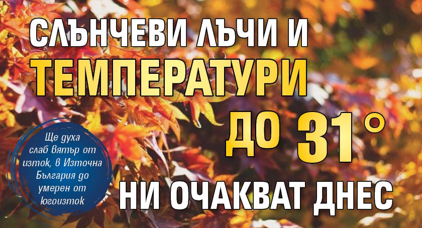 Слънчеви лъчи и температури до 31° ни очакват днес